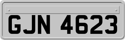 GJN4623