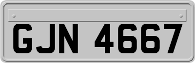 GJN4667
