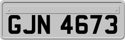 GJN4673