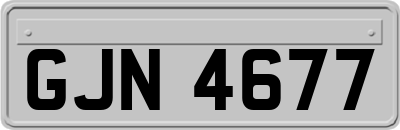 GJN4677