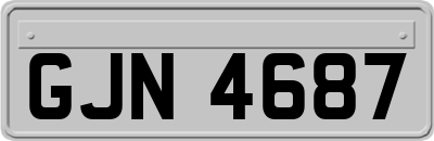 GJN4687