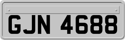 GJN4688
