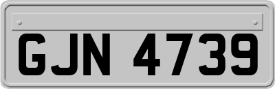 GJN4739
