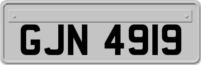 GJN4919