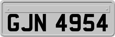 GJN4954