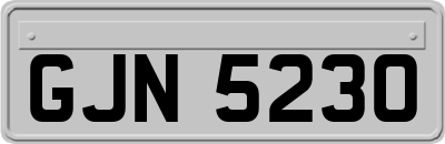 GJN5230