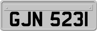 GJN5231