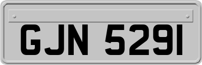 GJN5291