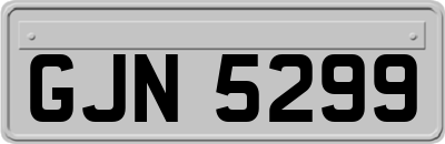 GJN5299