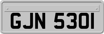 GJN5301