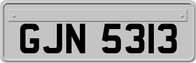 GJN5313