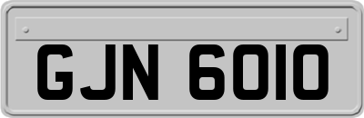 GJN6010