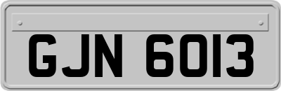 GJN6013