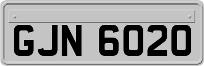 GJN6020