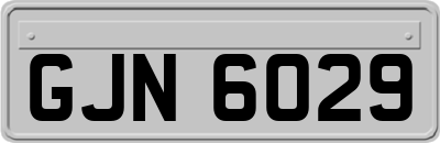 GJN6029