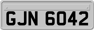 GJN6042