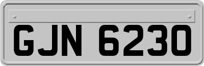 GJN6230