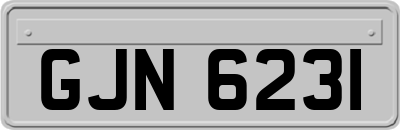 GJN6231