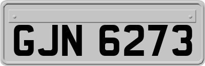 GJN6273