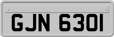 GJN6301