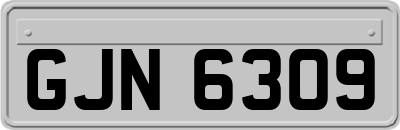 GJN6309