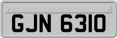 GJN6310