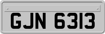 GJN6313
