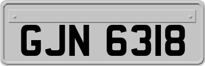 GJN6318