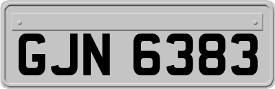 GJN6383