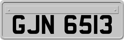 GJN6513
