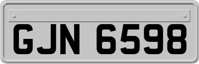 GJN6598