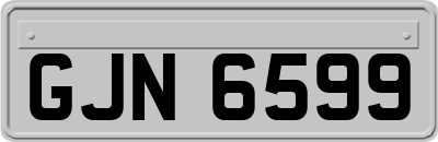 GJN6599