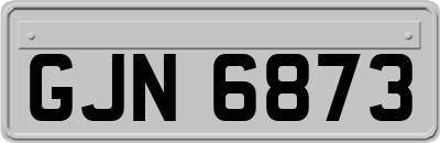 GJN6873
