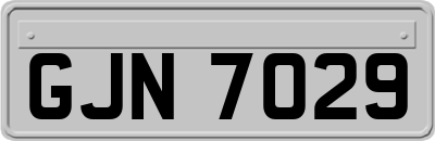 GJN7029