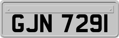GJN7291