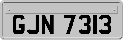 GJN7313
