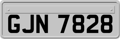 GJN7828