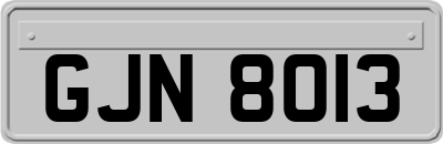 GJN8013
