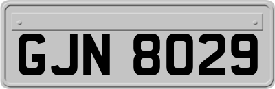 GJN8029