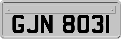 GJN8031