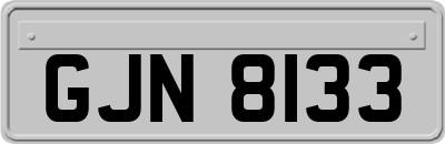 GJN8133