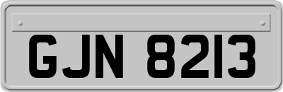 GJN8213