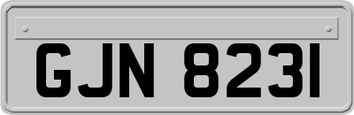 GJN8231