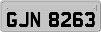 GJN8263