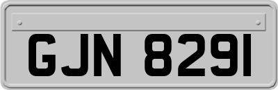 GJN8291