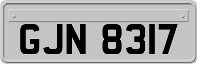 GJN8317