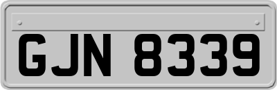 GJN8339