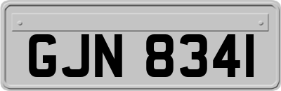 GJN8341