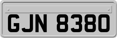GJN8380