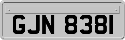 GJN8381